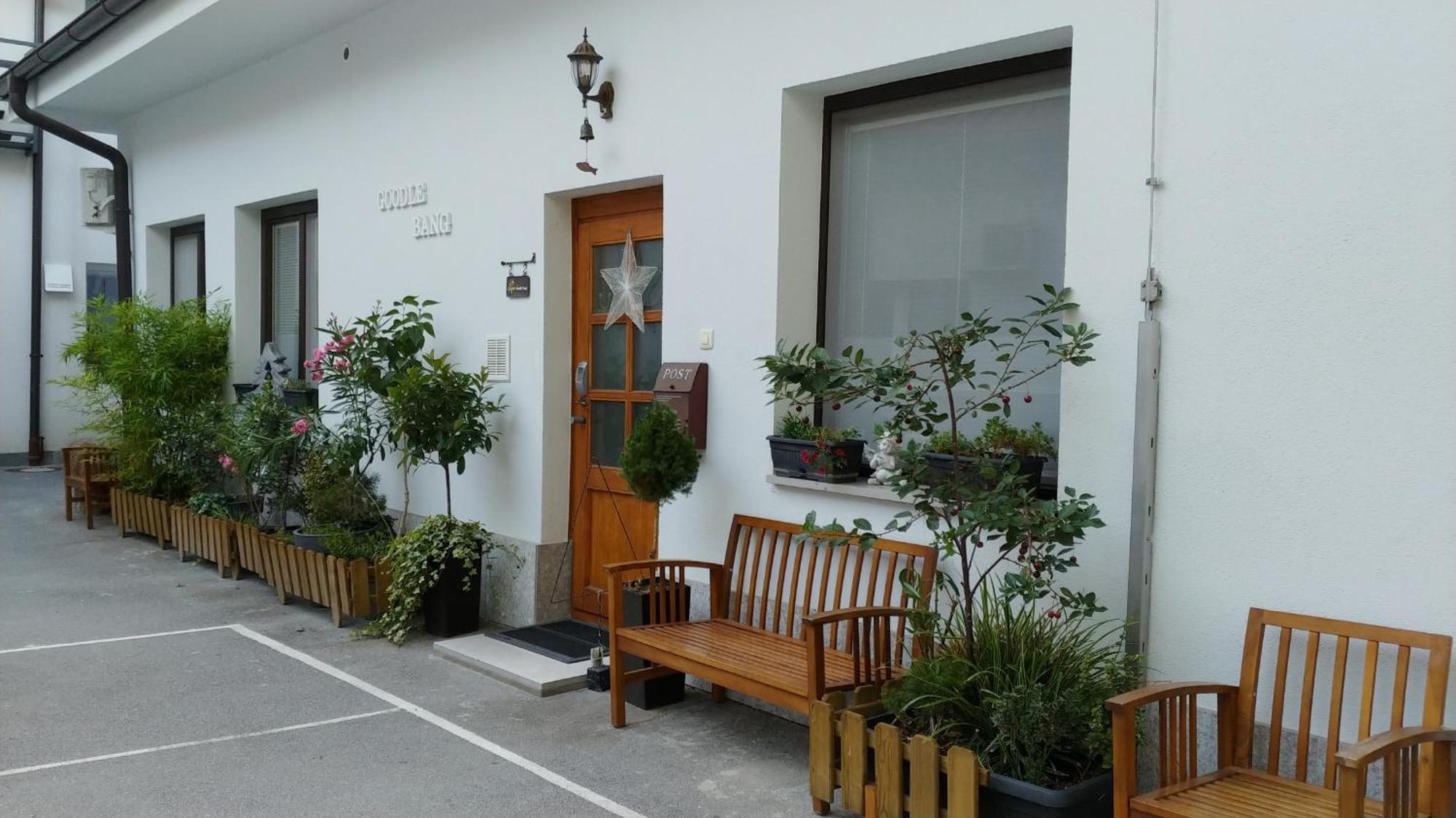 Goodlebang, 3 Bed Room Apartment, Center リュブリャナ エクステリア 写真